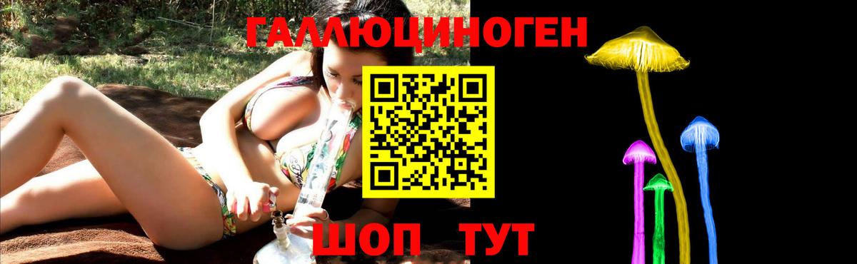 Псилоцибиновые грибы GOLDEN TEACHER Борзя